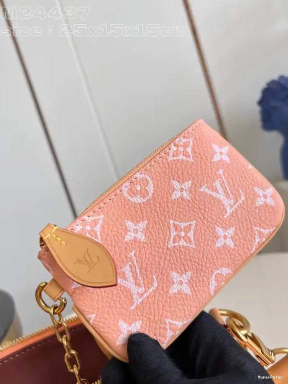 SPEEDY Louis Vuitton 25 0706